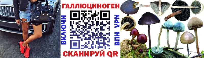 Купить закладки  Якутск  Псилоцибиновые грибы Psilocybine cubensis 